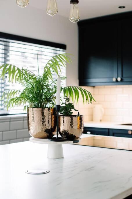 Holiday home Modern & Stylish In The Heart Of Belfast